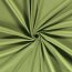Cotton jersey *Marie* - may green