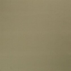 Cotton jersey *Marie* - sage