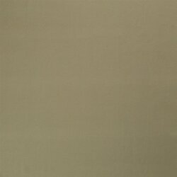 Cotton jersey *Marie* - sage