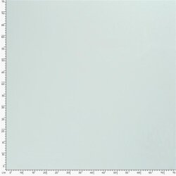 Cotton jersey *Marie* - light mint