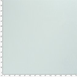 Cotton jersey *Marie* - light mint