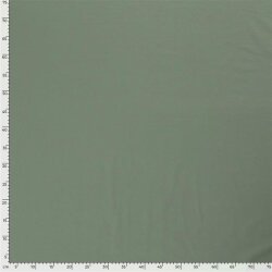 Cotton jersey *Marie* - antikmint