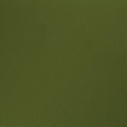 Baumwolljersey *Marie* - herbstgrün